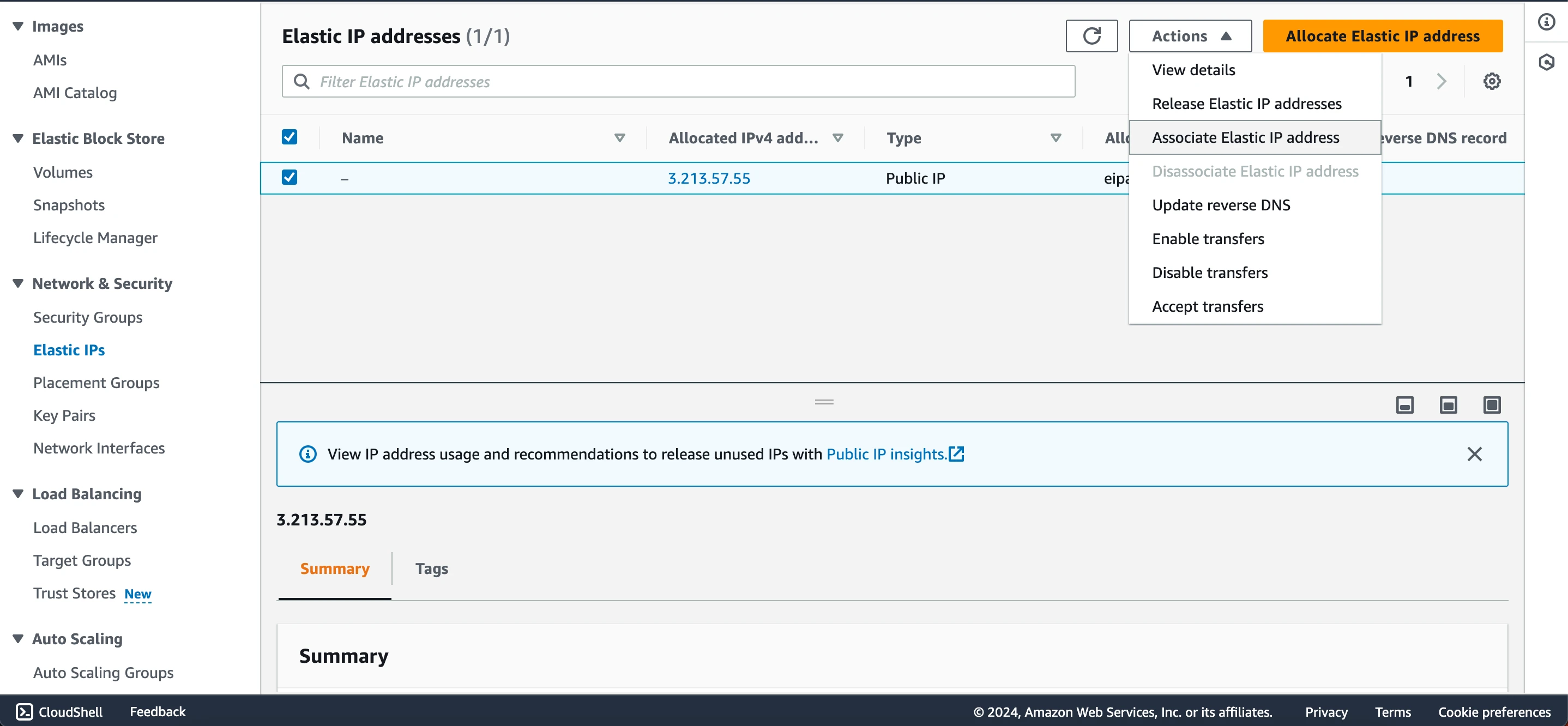 AWS - Elastic IP Services