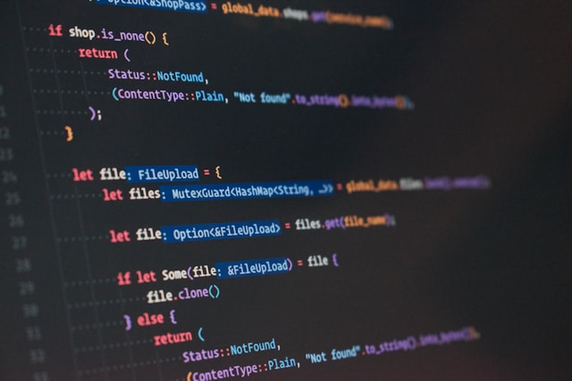 Top Reasons to Choose Rust for Your Next Project