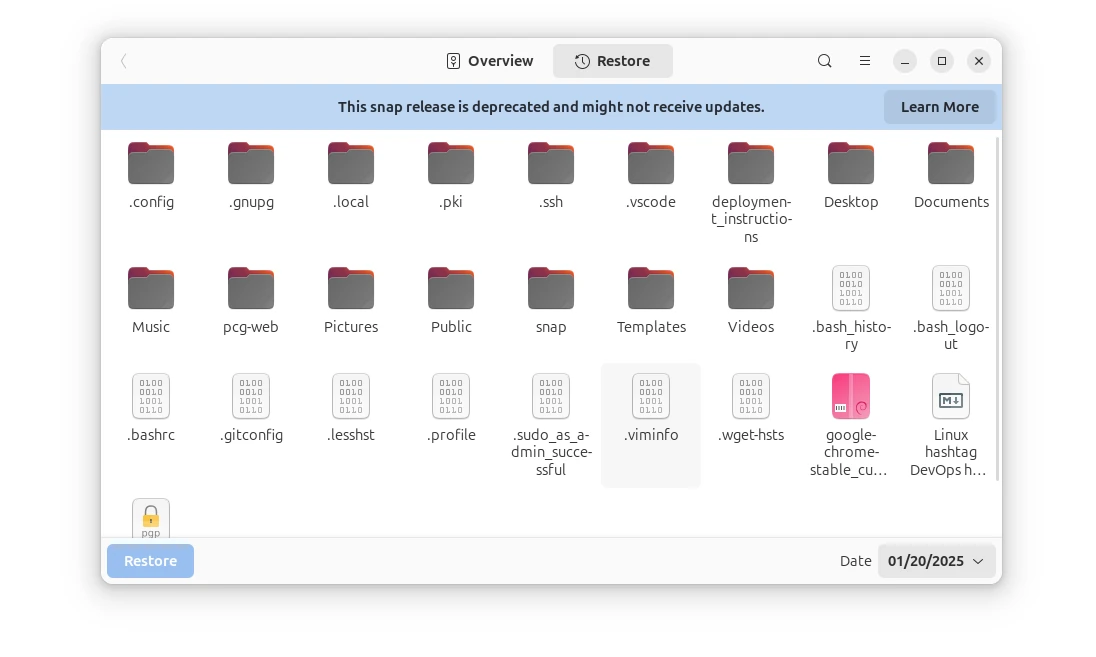 The Secret to Hassle-Free Linux Backups: Deja Dup