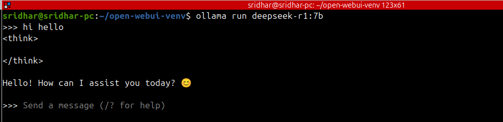 Install DeepSeek on Linux in Just 3 Minutes