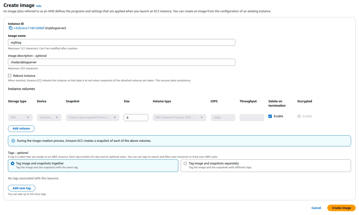 Creating EC2 AMIs and Launching from Backups
