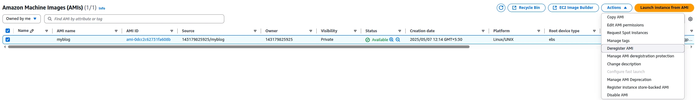 Creating EC2 AMIs and Launching from Backups