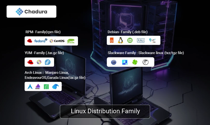 Software Installation and Package Management in Linux