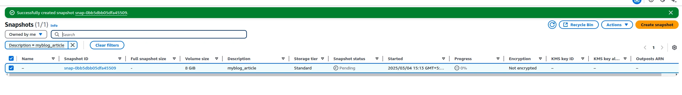 Beyond Basic Backups: AWS Snapshot Optimization for Cloud Professionals