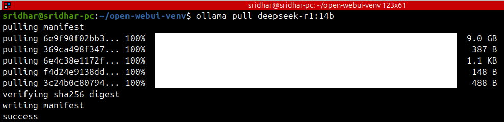 Install DeepSeek on Linux in Just 3 Minutes