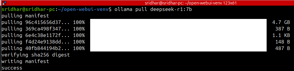 Install DeepSeek on Linux in Just 3 Minutes
