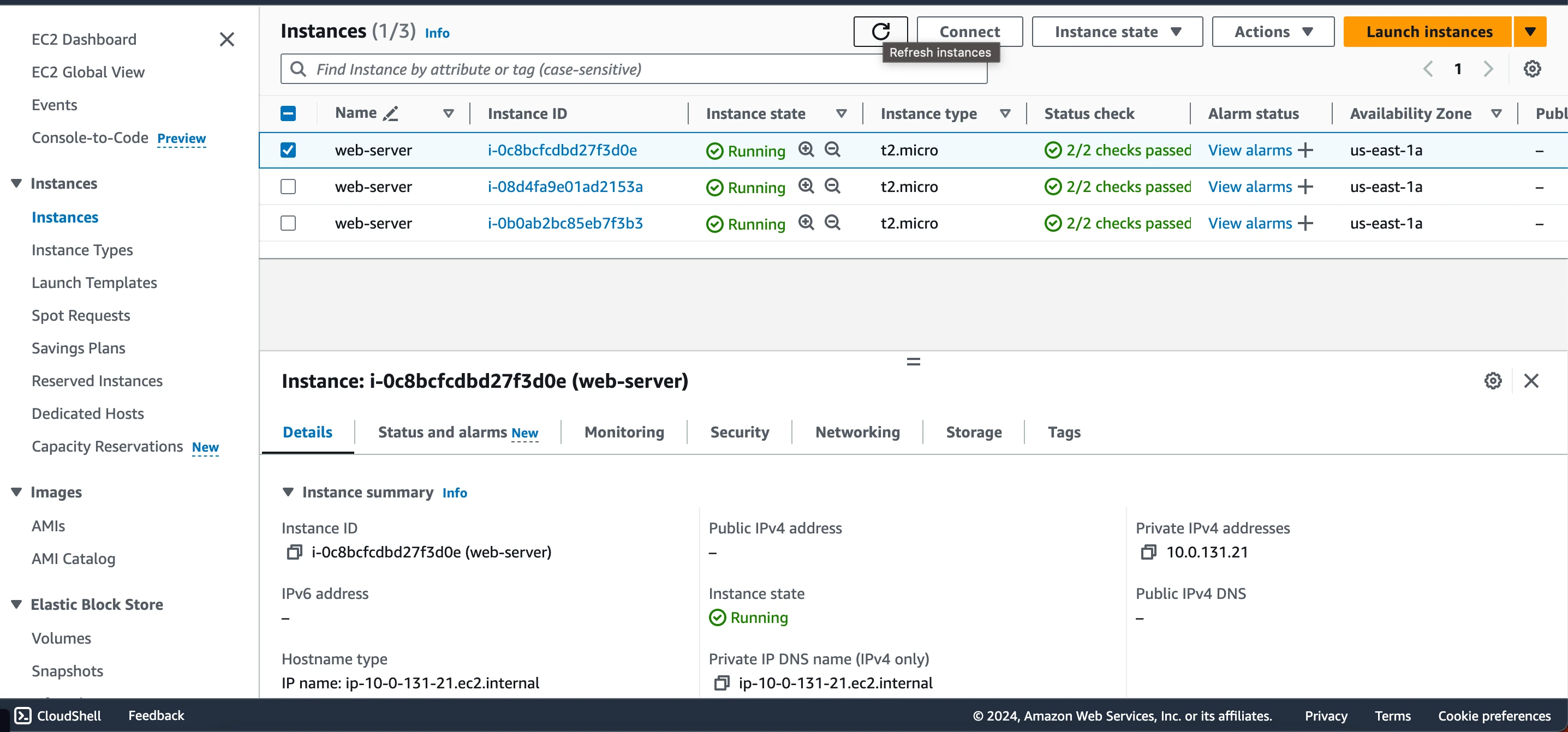 AWS - Elastic IP Services