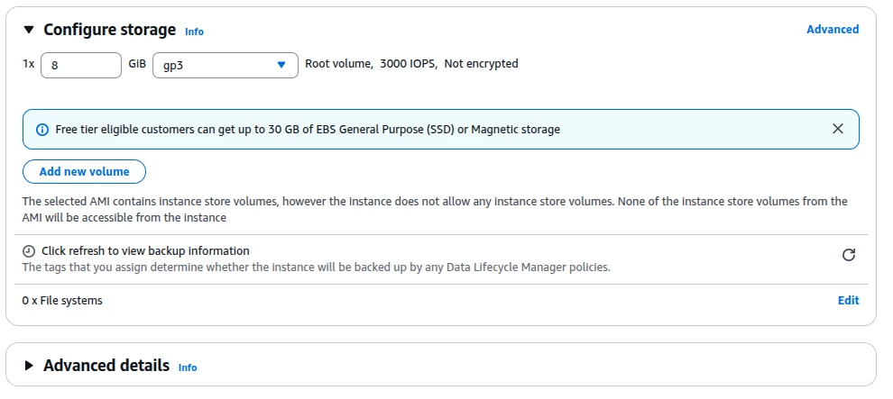 Creating EC2 AMIs and Launching from Backups